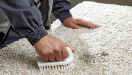 Professional Rug Cleaning Mccrae